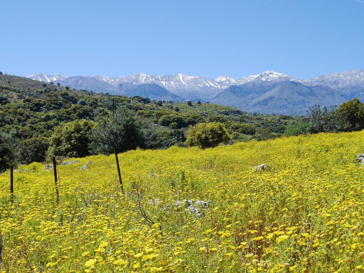 Villa Amvrosia Nr Kalives Crete Arménoi Esterno foto